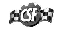 CSF